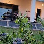 Apartamento Blueberry ,pokoje *