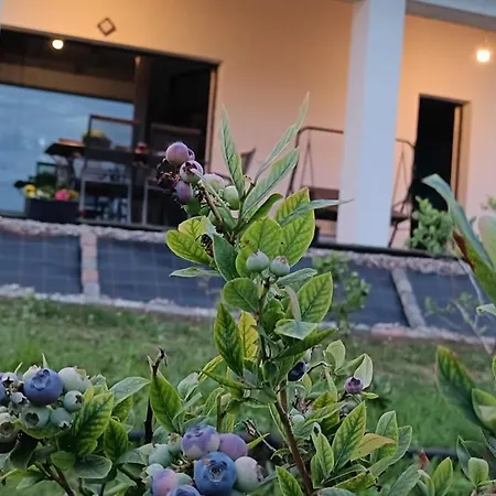 Lejlighed Blueberry ,pokoje *