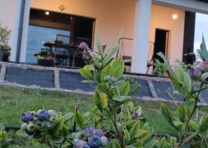 Apartmán Blueberry ,pokoje *